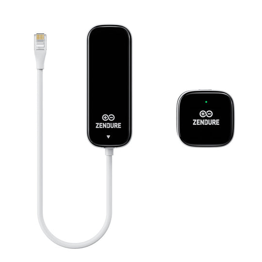 Zendure Intelligenter P1-Zähler